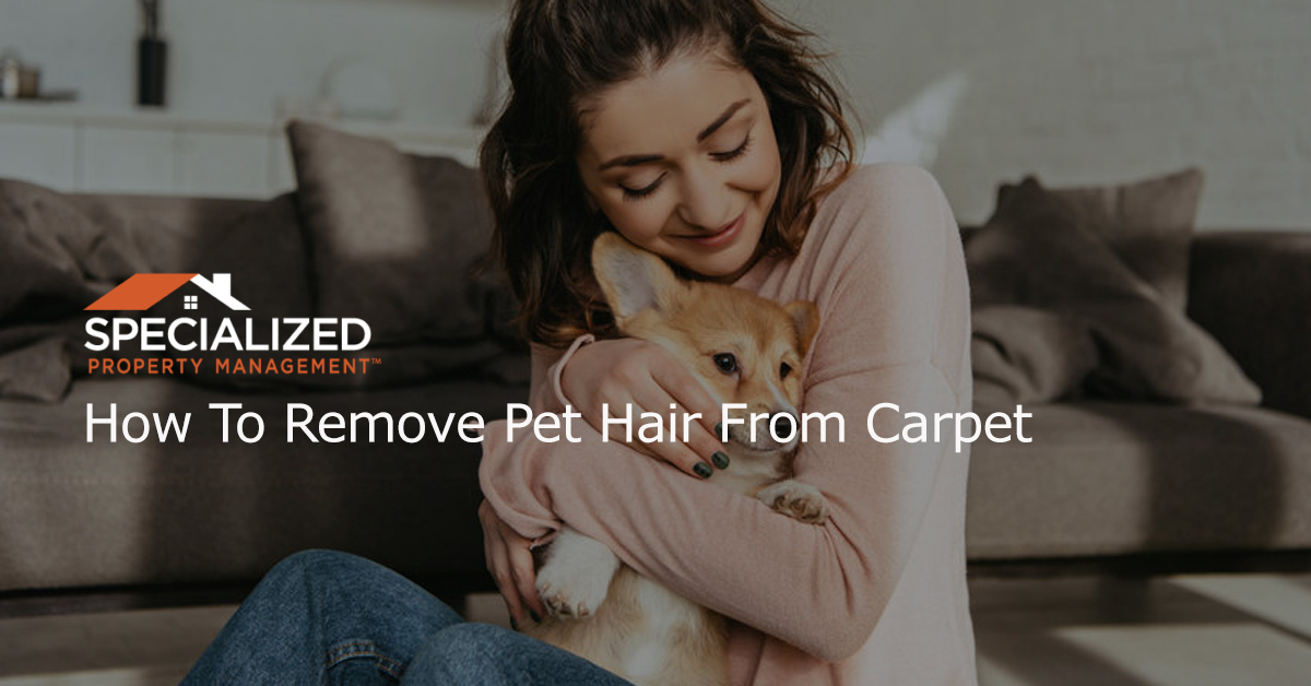 How To Remove Pet Hair From Carpet
