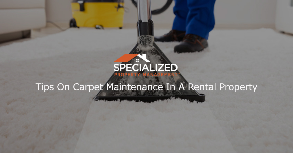 Tampa property management company carpet maintenance