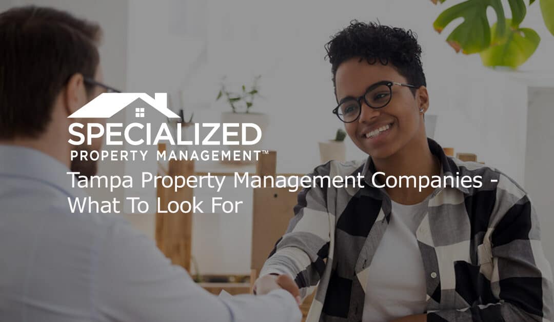 Tampa Property Management Companies – What To Look For